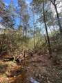 10733 Ruger Road - Photo 1