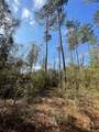 10733 Ruger Road - Photo 2