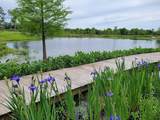 7546 Greendowns Street - Photo 30