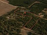 6350 Sapp Graveyard Road - Photo 5
