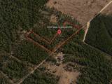 6350 Sapp Graveyard Road - Photo 6