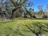 342 Bluebonnet Drive - Photo 11