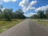 33610 Blue Marlin Drive - Photo 3