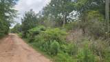 Lot 10 B53 Sweetleaf Lane - Photo 13
