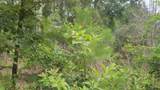 Lot 10 B53 Sweetleaf Lane - Photo 26