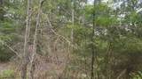 Lot 10 B53 Sweetleaf Lane - Photo 4