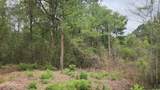 Lot 10 B53 Sweetleaf Lane - Photo 6