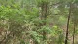 Lot 10 B53 Sweetleaf Lane - Photo 9