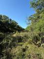 15563 Tax ID Ramblewood County Road 281 Road - Photo 18