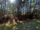 207 Green Tree Drive - Photo 6