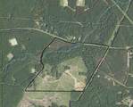 Tract 1 Strickland Fm 2625 - Photo 1