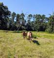 0 County Road 304 - Photo 15