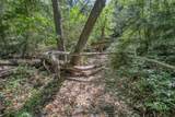 tbd Cedar Hill Road - Photo 10