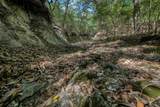 tbd Cedar Hill Road - Photo 7