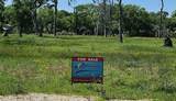 32718 Bayou Bend - Photo 6
