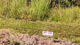 010 Oak Park Trail - Photo 4