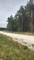 Tract 82 Collin St - Photo 5