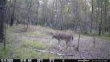 Lot 25 Frank Ln - Photo 1