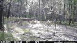 Lot 25 Frank Ln - Photo 6