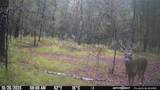 Lot 25 Frank Ln - Photo 7