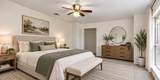 12203 Wild Pine Drive - Photo 8