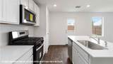 1006 Bluegill - Photo 10