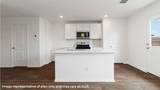 1006 Bluegill - Photo 5