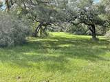 128 Center Tree Drive - Photo 1