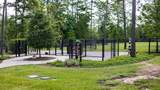 542 Carina Gaze Drive - Photo 40