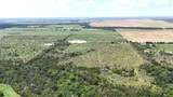 1127 Limestone County Road 607 - Photo 11