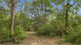 1165 Cr 213 Tract 2 - Photo 5