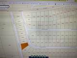 0 Cr 360 Moss Forest Drive - Photo 2