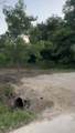 4804 Bostic Street - Photo 7