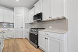 26134 Venus Trap Trail - Photo 14