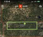 TBD Roy Webb Road - Photo 1