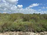 647 Flamingo Street - Photo 3