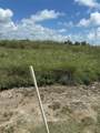 647 Flamingo Street - Photo 5