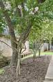 215 Enchanted Estates Drive - Photo 36