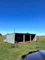 17002 Brumbelow Road - Photo 4