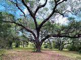 32 Acres Dunlavy - Photo 1