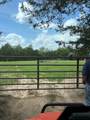 32 Acres Dunlavy - Photo 10