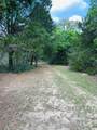 32 Acres Dunlavy - Photo 11