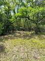 32 Acres Dunlavy - Photo 13