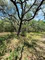 32 Acres Dunlavy - Photo 15
