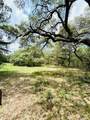 32 Acres Dunlavy - Photo 16