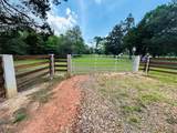 32 Acres Dunlavy - Photo 17
