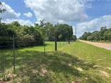 32 Acres Dunlavy - Photo 18
