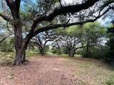 32 Acres Dunlavy - Photo 3