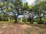 32 Acres Dunlavy - Photo 4