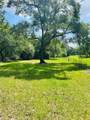32 Acres Dunlavy - Photo 6